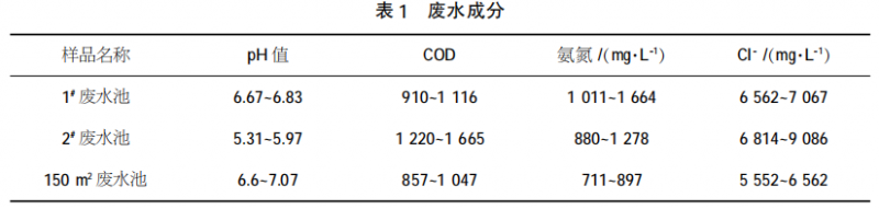 圖片2