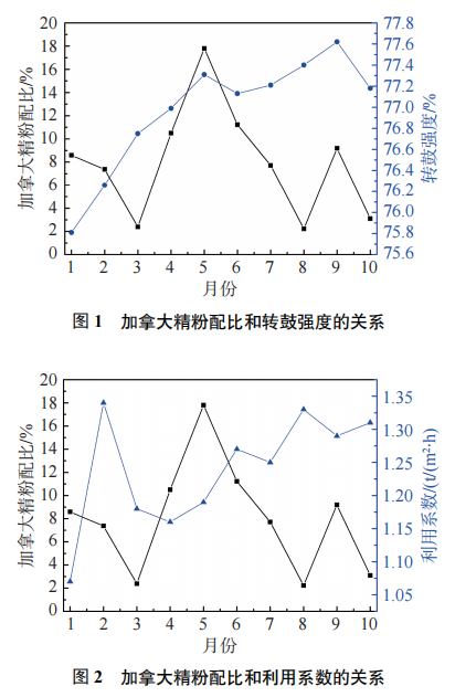 圖片6